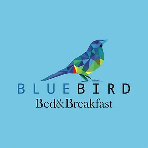 Blue Bird 2* Cuenca